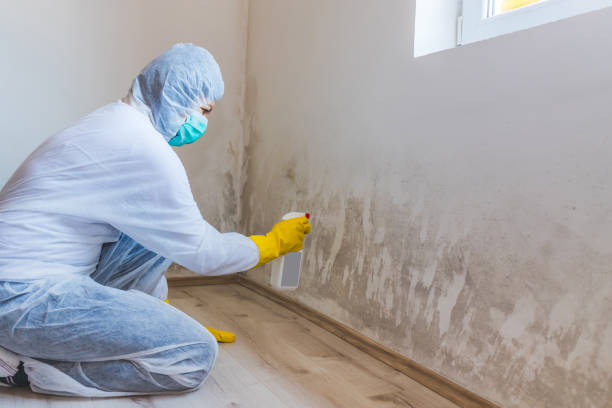 Mold inspector in Everett performing thermal imaging